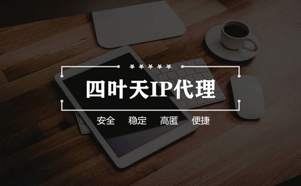 【金昌代理IP】如何快速搭建代理IP？怎么检查代理的效果？